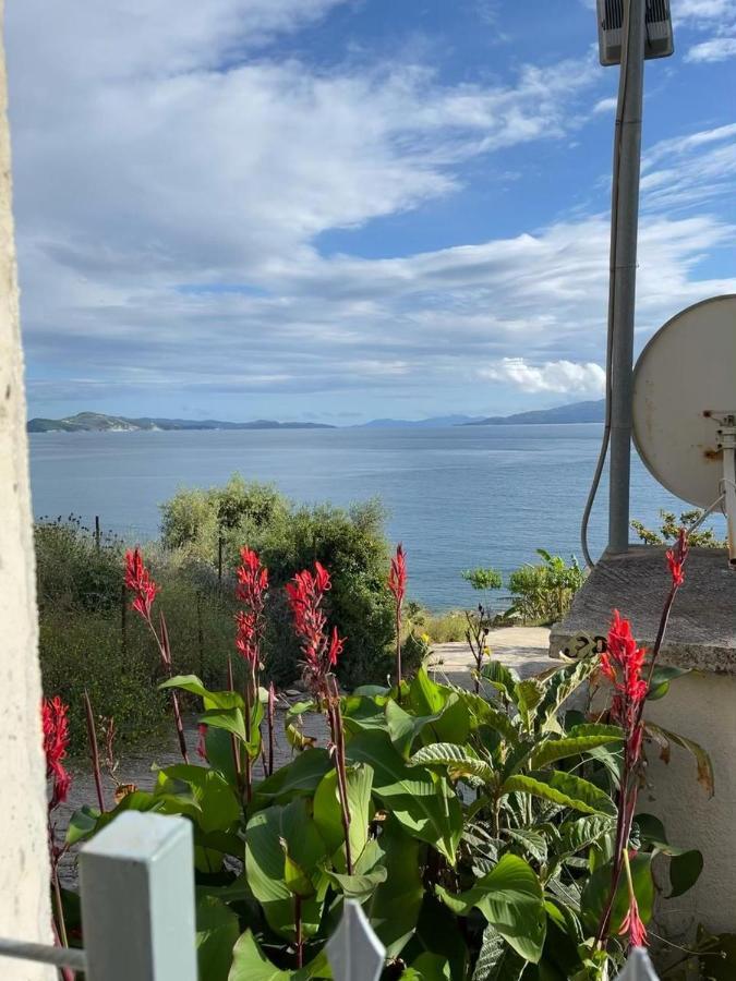 Appartement Gardenia Saranda